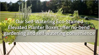 Self-Watering Eco-Stained Elevated Planter Boxes