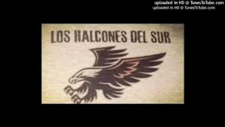 LOS HALCONES DEL SUR  -  CUMBIAS CAMPERAS