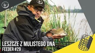 Klasyczny Feeder i leszcze z mulistego dna | Feeder #29