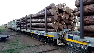 Tren procedente de S. Tome llegando a Paso de los Libres loc.7935 24/04/2022