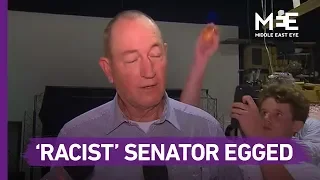 Fraser Anning egged the day after he blamed 'Muslim immigration' for New Zealand mosque attack