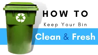 Learn how to keep green bin from smelling & ways to stop food waste at home  with BagEZ