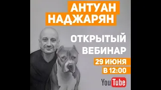 Частые ошибки в отношениях с собаками. Вебинар Антуана Наджаряна