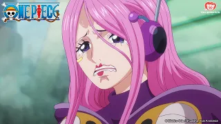 Orso è padre di Bonney?! | One Piece