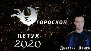 Гороскоп Петух -2020. Астротиполог, Нумеролог - Дмитрий Шимко