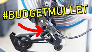 EASIEST 1x Low Gearing Hack? (WATCH BEFORE Buying a Jtek Shiftmate) #BUDGETMULLET