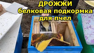 Дрожжевая подкормка пчел весной