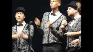 Stromae - Tous les mêmes à cappella (live Lyon)