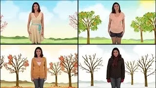 Why do we have Seasons? Spring, Summer, Fall, Winter - Science for Kids