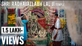 SHRI RADHAVALLABH LAL JI Temple - Documentary | Vrindavan | 2021| THEVAGABONDFILMS |