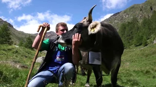 70 Jahre Sennereiverband Südtirol - Geschichte und Gegenwart der Milchwirtschaft in Südtirol