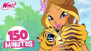 Winx Club | Latinoamérica - Episódios completos | Descubramos los animales con el Winx Club 🐯✨