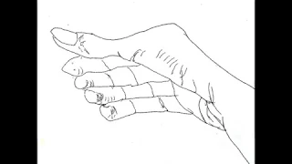 My рисунки рук выразительный рисунок руки израильским художником raphael perez