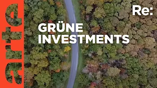 Grüne Geldanlage, Nachhaltige Investition in den Wald | ARTE Re: