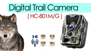 Digital Trail Camera (HC-801M/G) Software CD Download Link