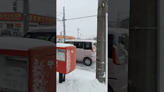 What a day Heavy Snow in Hachinohe Aomori Japan