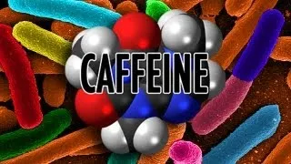 No, You're Not Addicted to Caffeine, but These Bacteria Are