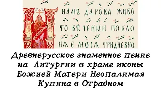 Древнерусское знаменное пение на Литургии в праздник иконы Божией Матери Взыскание Погибших