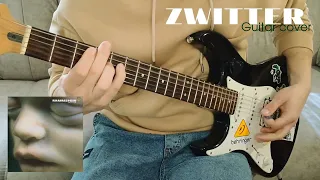 Rammstein - Zwitter (Guitar cover)