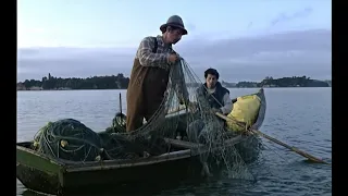 El Budi un lago que se une con el mar