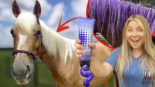 GIVING MY NEW HORSE A MAKEOVER  *SATISFYING*