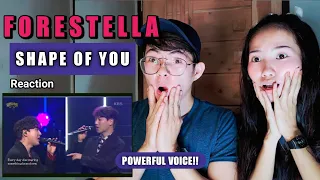 FORESTELLA [포레스텔라] - Shape Of You | REACTION!!!!