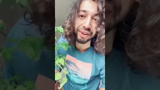 Man shares simple hack to help revive dying plants – using HIS OWN HAIR