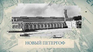 Малые родины большого Петербурга. Новый Петергоф