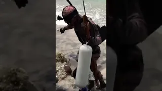 Berburu Gurita | Octopus Hunting