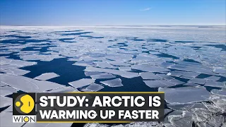 WION Climate Tracker| Study: Arctic heating up 4 times faster than rest of earth