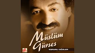 Hayat Arkadaşı