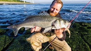 Fishing in Holland - sea bass