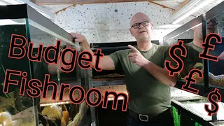 Diy build budget economical fishroom