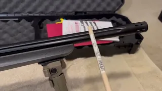 Ruger 10/22 Competition overview