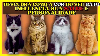 😸A influência da COR  do Seu GATO na Saúde e Personalidade-Guia Completo