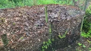 Creating leaf mould on a grand scale