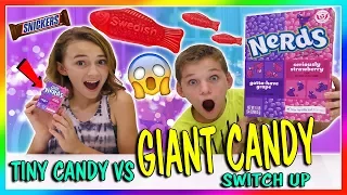 TINY CANDY VS GIANT CANDY SWITCH UP | We Are The Davises