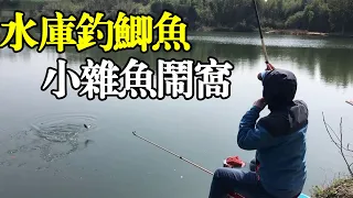 实战！水库钓鲫鱼，小杂鱼开始闹窝了，老曹怎么应对？【户外老曹】