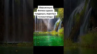 Шаршасаңыз, жолыңыз болмай жүрсе фатиха сүресін тыңдаңыз