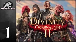 Divinity: Original Sin 2 Let's Play Episode 1 - Intro and The Merryweather
