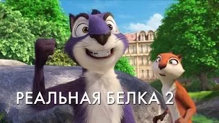 РЕАЛЬНАЯ БЕЛКА 2