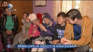 Stirile Kanal D (31.03.)- O mama bolnava de cancer lupta sa-si creasca cei 7 copii | Editie de seara