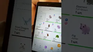 Star Pets не работает! :_(😭Зря потратила 2 тыс. руб. 🐖