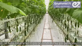 Enza Zaden: Grummel F1- vlog ogórkowy odcinek nr 1 🥒