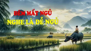 Đêm Mất Ngủ Nghe Là Dễ Ngủ | Đọc Truyện Đêm Khuya Đài Tiếng Nói Việt Nam