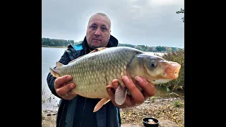 Kauno Marios. Rudens karšiai ir karosai.