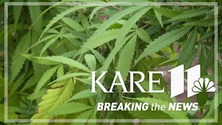 Breakdown of Minnesota's new cannabis law