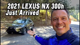 Just Arrived: 2021 Lexus NX 300h on Everyman Driver