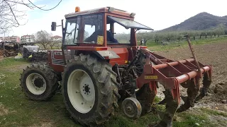 RIPUNTATURA 2018 | FIATAGRI 80.90 DT + RIPUNTATORE 5 ANCORE ANGELONI DP5R