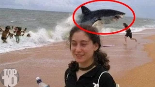 10 Unbelievable Shark Attacks